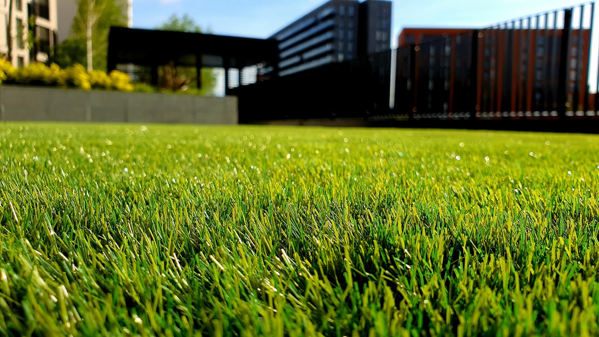 A Lawn That Looks Cared For Every Week
