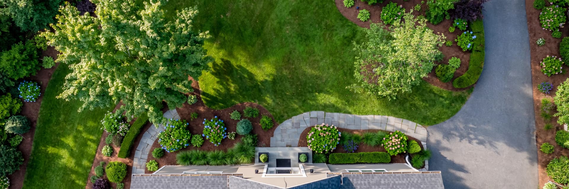 Care for Trees and Shrubs as Living Systems