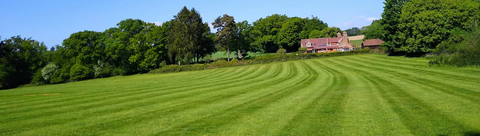 Help Thin, Compacted Turf Rebuild from the Roots